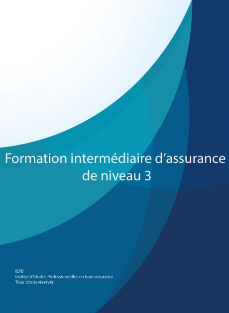 formation ias niveau 3