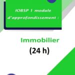 IOBSP 1 Immo (2018)