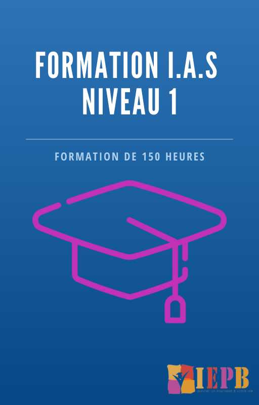 Formation IAS Niveau 1