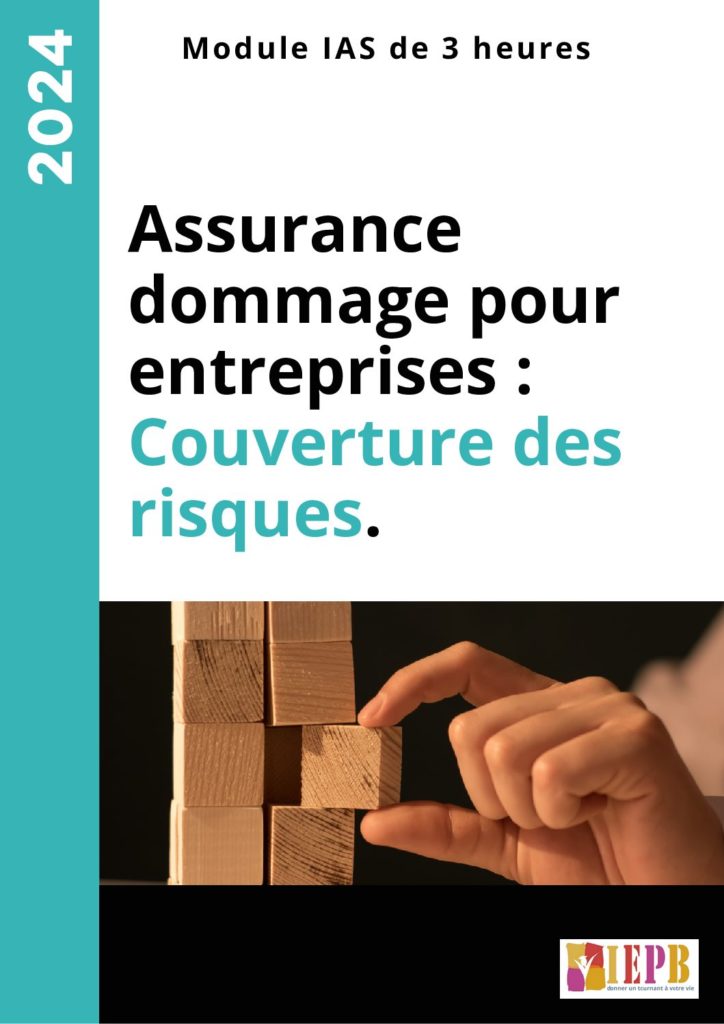 Assurance dommage, Les assurances des risques d’entreprises.