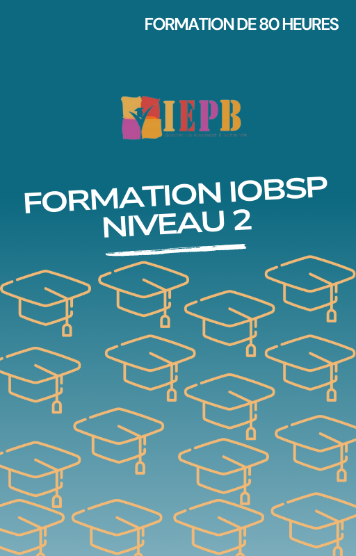 formation IOBSP niveau 2