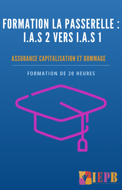 Passerelle IAS 2 vers IAS 1 Assurance Capitalisation et dommage