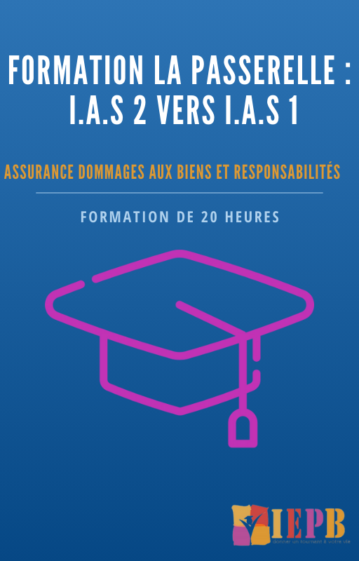 Passerelle IAS 2 vers IAS 1 Assurance dommages aux biens et responsabilités