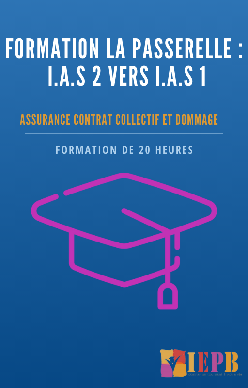 Passerelle IAS 2 vers IAS 1 Ass Contrat collectif et dommage
