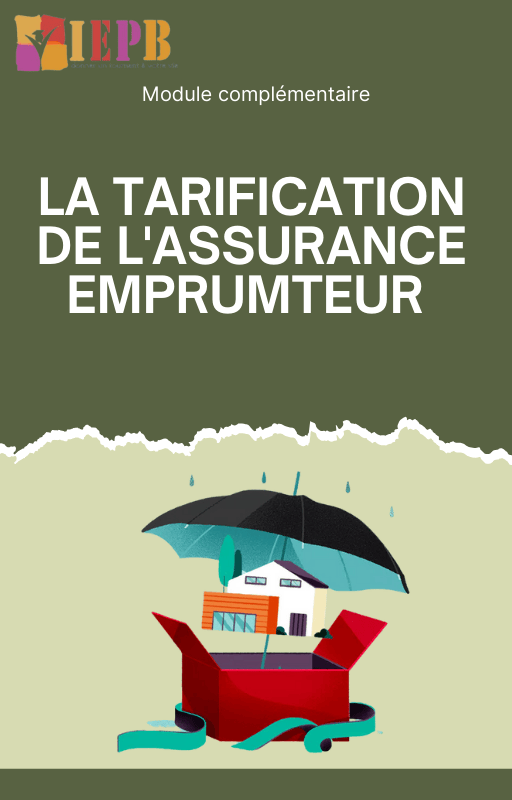 Module LCC : La tarification de l'assurance emprunteur
